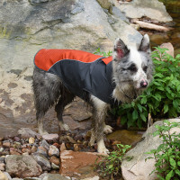 Куртка дощовик для собак BlackDoggy (Блекдоги) VC-JK12012