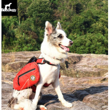 Рюкзак для собак BlackDoggy (БлекДогги) VC-BP12003