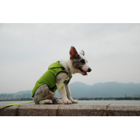 Плащ дождевик для собак BlackDoggy (БлекДогги) VC14-JK007 L, Зелёный