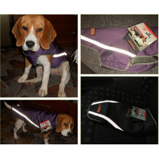 Водонепроникна куртка для собак BlackDoggy (БлекДоггі) VC-JK12013 XL, Фіолетовий