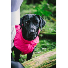 Плащ дощовик для собак BlackDoggy (Блекдоги) VC18-JK002-B 2XL, Рожевий