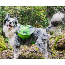 Рюкзак для собак BlackDoggy (БлекДогги) VC-BP12006 L, Зеленый