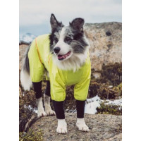 Комбинезон дождевик водонепроницаемый для собак BlackDoggy (БлекДогги) VC19-JK009 XL, Желтый