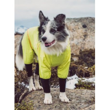 Комбінезон дощовик водонепроникний для собак BlackDoggy (БлекДоггі) VC19-JK009 XXXXL, Жовтий