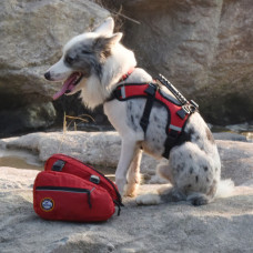 Рюкзак для собак BlackDoggy (БлекДогги) VC-BP12003