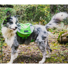 Рюкзак для собак BlackDoggy (БлекДогги) VC-BP12006 L, Зеленый