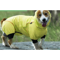 Комбинезон дождевик водонепроницаемый для собак BlackDoggy (БлекДогги) VC19-JK009 XL, Желтый