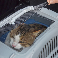 Контейнер перенесення для котів і собак Ferplast Atlas Deluxe Open (Ферпласт Атлас Делюкс Опен 37.4 х 57.6 x h 33 см - max 8 кг - ATLAS DELUXE 20 OPEN, сірий