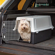 Контейнер перенесення для котів і собак Ferplast Atlas Professional (Ферпласт Атлас Професіонал) 40 x 60 x h 38 см - ATLAS 30 PROFESSIONAL