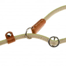 Рингування поводок - ошийник з екожі для собак Ferplast Derby GC (Ферпласт Дербі Джі С) GC 10/160 - he 10 мм x L 160 см, Сірий