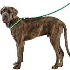 Повідки з автоматичним гачком для собак Ferplast Twist Matic G (Ферпласт Твіст Матіс Джі) G 18/110 - he 18 мм x L 110 см - max 50 кг, Синій