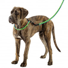 Повідки з автоматичним гачком для собак Ferplast Twist Matic G (Ферпласт Твіст Матіс Джі) G 18/110 - he 18 мм x L 110 см - max 50 кг, Оранжевий