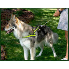 Шлея для собак з неопрену GimDog Alfresco Y (ДжимДог Алфреско У)