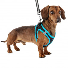 Нагрудне світлоовідбивча шлейка для собак, що дихають нейлоном Ferplast Kaori P (Ферпласт Каорі П) M - A: 32 sign 34 см - B: 44 use 48 см, Синій