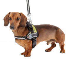 Нагрудна шлейка з високопрозорої нейлону Ferplast Hercules Р (Ферпласт Геркулес П) XS - A: 29 la 36 см - B: 42 he 52 см 20 мм, Воєнний