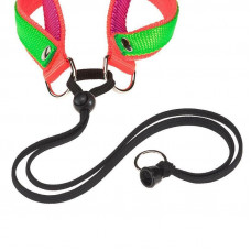 Нагрудна шлейка для собак з нейлону з еластичним шнурком Ferplast Agila Colours 2-3 (Ферпласт Агіла Колорс) A = B 42 menu 50 см 20 мм - max 7 кг - 3 розмір, Оранжевий