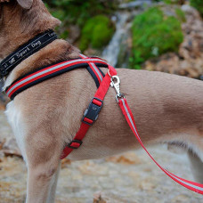 Світлопробивна шлейка для собак з магнітною застібкою Ferplast Daytona R Cros (Ферпласт Дайтона П Кросс) ML - B: 63 ann 88 см 20 мм, Червоний