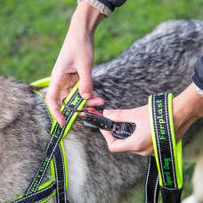 Нейлонова шлейка світловідражаюча норвезького типу для собак Ferplast Sport Dog P (Ферпласт Спорт Дог П) A: 58 см - B: 69 int 86 см - M, Фіолетовий