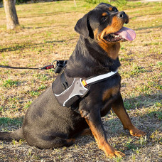 Нагрудная светоотражающая шлейка для собак из высокопрочного нейлона Ferplast Hercules Р (Ферпласт Геркулес П) XL - A: 57 ÷ 71 см - B: 80 ÷ 102 см 40 мм, Черный