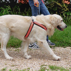 М'яка нагрудна шлейка для собак з мікрорегулюванням Ferplast Agila Reflex 5-9 (Ферпласт Агіла Рефлекс 5-9) 8 розмір - A = B 69 he 77 см 20 мм - max 30 кг, Чорний