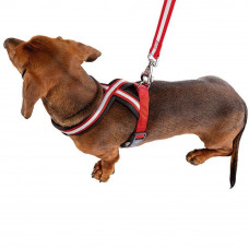 Світловідбивна шлейка для собак з магнітною застібкою Ferplast Daytona Р Cross (Ферпласт Дайтона П Кросс)