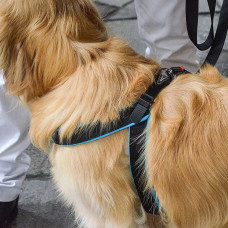 М'яка нагрудна шлейка для собак з мікрорегулюванням Ferplast Agila Fluo 3-9 (Ферпласт Агілу Флуо 3-9) A = B 69 ❖ 77 см 25 мм - max 30 кг - 8 розмір, Синій