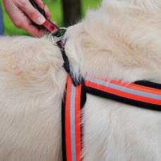 М'яка нагрудна шлейка для собак з мікрорегулюванням Ferplast Agila Reflex 5-9 (Ферпласт Агіла Рефлекс 5-9) 9 розмір - A = B 77 sign 85 см 20 мм - max 35 кг, Чорний