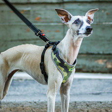 Тренірова нагрудна шлейка для собак з нейлону Ferplast Nikita P Fashion (Ферпласт Никіта П Фешин) A: 30 int 43 см - B: 38 he 55 см 15 мм - M, Зелений військовий