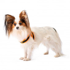 М’яка нагрудна шлейка для собак з еластичним шнурком Ferplast Agila Fluo 2 (Ферпласт Агіла Флуо 2) Оранжевий