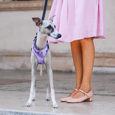 Тренірова нагрудна шлейка для собак з нейлону Ferplast Nikita P Fashion (Ферпласт Никіта П Фешин) A: 30 int 43 см - B: 38 he 55 см 15 мм - M, Фіолетовий