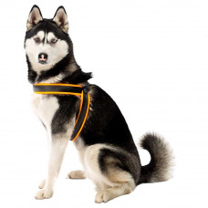 М'яка нагрудна шлейка для собак з мікрорегулюванням Ferplast Agila Fluo 3-9 (Ферпласт Агілу Флуо 3-9) A = B 63 ❏ 71 см 25 мм - max 22 кг - 7 розмір, Оранжевий