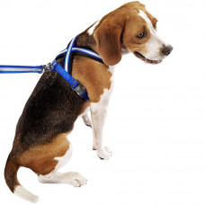 Світлий шлейк для собак з магнітною застібкою Ferplast Daytona P Cross (Ферпласт Дайтон П Кросс) SM: 54 select 70 см 20 мм, Синій