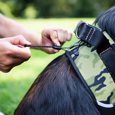 Нагрудна шлейка з високопрозорої нейлону Ferplast Hercules Р (Ферпласт Геркулес П) L - A: 54 ae 65 см - B: 64 he 81 см 40 мм, Воєнний
