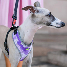 Тренірова нагрудна шлейка для собак з нейлону Ferplast Nikita P Fashion (Ферпласт Никіта П Фешин) A: 30 int 43 см - B: 38 he 55 см 15 мм - M, Фіолетовий