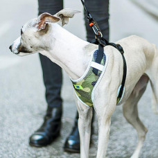 Тренірова нагрудна шлейка для собак з нейлону Ferplast Nikita P Fashion (Ферпласт Никіта П Фешин) A: 30 int 43 см - B: 38 he 55 см 15 мм - M, Зелений військовий