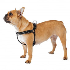 Нейлонова шлейка для собак Ferplast Cricket P (Ферпласт Крікет П) A = B 45,5 select 63 см 15 мм - MEDIM, Синій