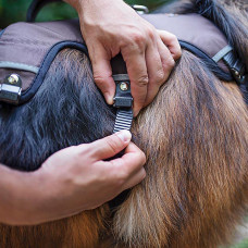 Нагрудная шлейка для собак с микрорегулировкой Ferplast Ergotrekking (Ферпласт Ерготрекинг) LARGE - A: 50 ÷ 60 см - B: 70 ÷ 80 см - C: 60 ÷ 70 см - L 28,5 см, Коричневый