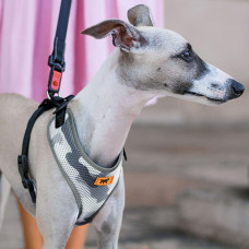 Тренірова нагрудна шлейка для собак з нейлону Ferplast Nikita P Fashion (Ферпласт Никіта П Фешин) A: 30 int 43 см - B: 38 he 55 см 15 мм - M, Зелений військовий