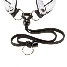 Нагрудна шлейка для собак з нейлону з еластичним шнурком Ferplast Agila Colours 2-3 (Ферпласт Агіла Колорс) A = B 42 menu 50 см 20 мм - max 7 кг - 3 розмір, Чорний