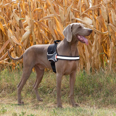 Нагрудна шлейка з високопрозорої нейлону Ferplast Hercules Р (Ферпласт Геркулес П) L - A: 54 ae 65 см - B: 64 he 81 см 40 мм, Синій