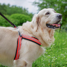 М'яка нагрудна шлейка для собак з мікрорегулюванням Ferplast Agila Reflex 5-9 (Ферпласт Агіла Рефлекс 5-9) 8 розмір - A = B 69 he 77 см 20 мм - max 30 кг, Оранжевий