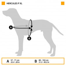 Нагрудная светоотражающая шлейка для собак из высокопрочного нейлона Ferplast Hercules Р (Ферпласт Геркулес П) XL - A: 57 ÷ 71 см - B: 80 ÷ 102 см 40 мм, Синий
