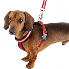 Світлий шлейк для собак з магнітною застібкою Ferplast Daytona P Cross (Ферпласт Дайтон П Кросс) XS - B: 39 ae 50 см 15 мм, Синій