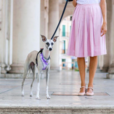 Тренірова нагрудна шлейка для собак з нейлону Ferplast Nikita P Fashion (Ферпласт Никіта П Фешин) A: 30 int 43 см - B: 38 he 55 см 15 мм - M, Фіолетовий