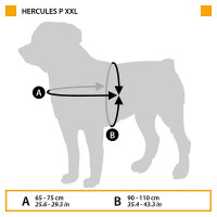 Нагрудная светоотражающая шлейка для собак из высокопрочного нейлона Ferplast Hercules Р (Ферпласт Геркулес П) XXL - A: 65 ÷ 75 см - B: 90 ÷ 110 см 40 мм, Черный