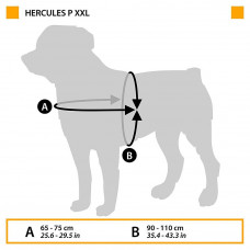 Нагрудная светоотражающая шлейка для собак из высокопрочного нейлона Ferplast Hercules Р (Ферпласт Геркулес П) XXL - A: 65 ÷ 75 см - B: 90 ÷ 110 см 40 мм, Красный