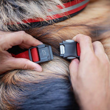 Світлий шлейк для собак з магнітною застібкою Ferplast Daytona P Cross (Ферпласт Дайтон П Кросс) XL - B: 74 select 108 см 25 мм, Синій