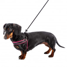 Мягкая нагрудная шлейка для собак с микрорегулировкой Ferplast Agila Fluo 3-9 (Ферпласт Агила Флуо 3-9) A = B 42 ÷ 50 см 15 мм - max 7 кг - 3 размер, Оранжевый