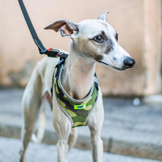 Тренірова нагрудна шлейка для собак з нейлону Ferplast Nikita P Fashion (Ферпласт Никіта П Фешин) A: 30 int 43 см - B: 38 he 55 см 15 мм - M, Зелений військовий