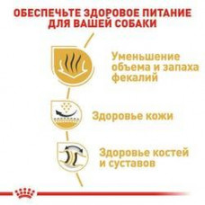 Royal Canin Bulldog Adult (Рояв Канін Бульдог Едалт) сухий корм для англійських бульдогов від 12 місяців 12 кг.